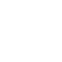 Window Icon